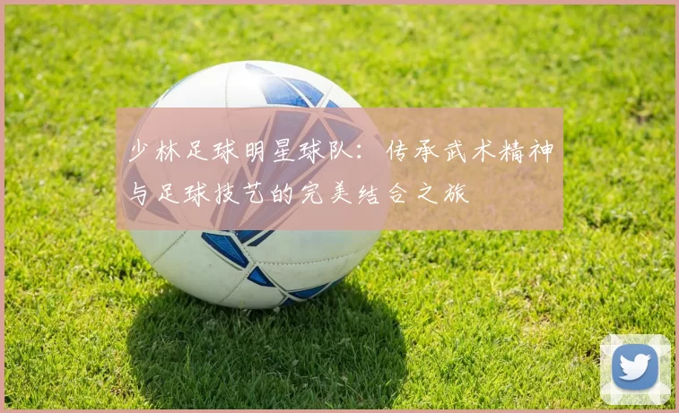少林足球明星球队：传承武术精神与足球技艺的完美结合之旅