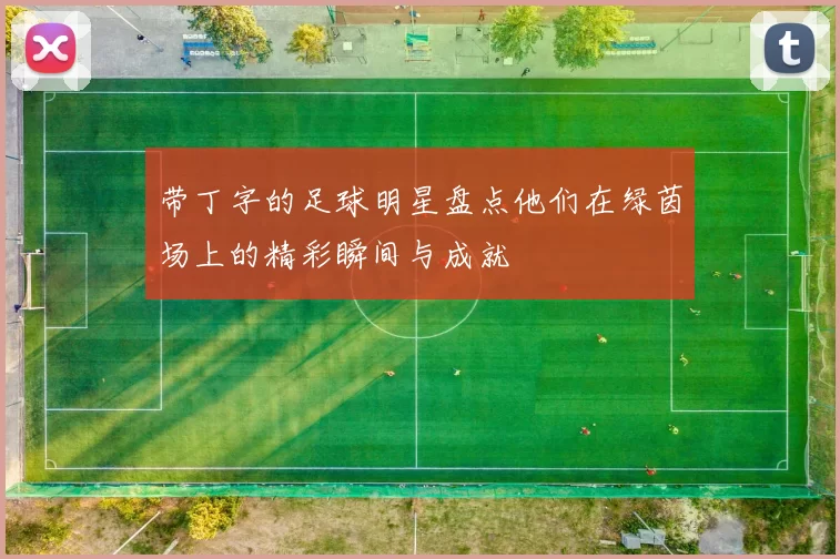 带丁字的足球明星盘点他们在绿茵场上的精彩瞬间与成就