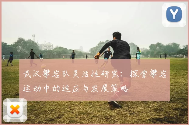 武汉攀岩队灵活性研究：探索攀岩运动中的适应与发展策略