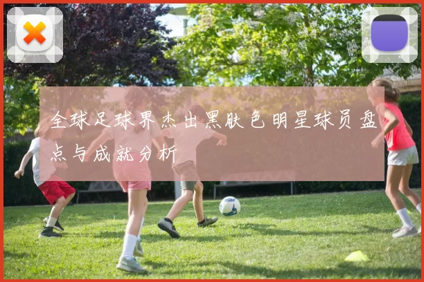 全球足球界杰出黑肤色明星球员盘点与成就分析