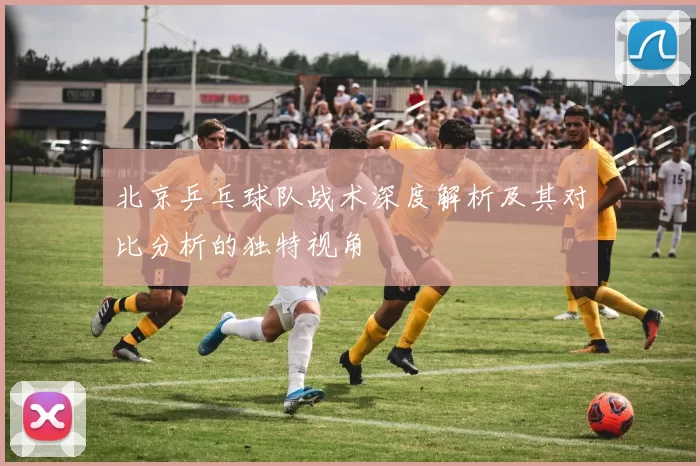 北京乒乓球队战术深度解析及其对比分析的独特视角