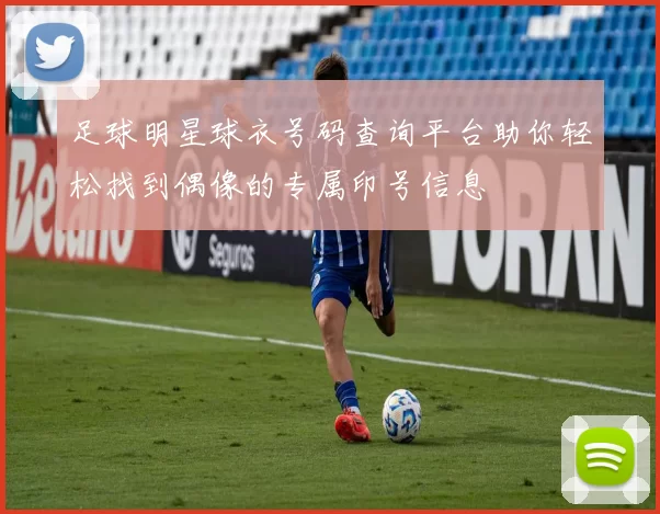足球明星球衣号码查询平台助你轻松找到偶像的专属印号信息