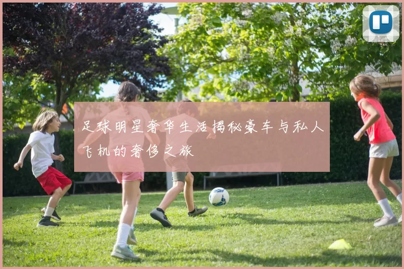 足球明星奢华生活揭秘豪车与私人飞机的奢侈之旅