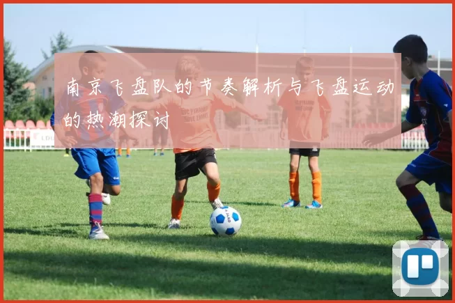 南京飞盘队的节奏解析与飞盘运动的热潮探讨