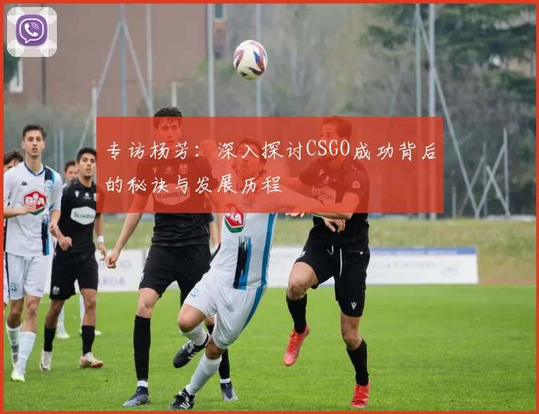 专访杨芳：深入探讨CSGO成功背后的秘诀与发展历程