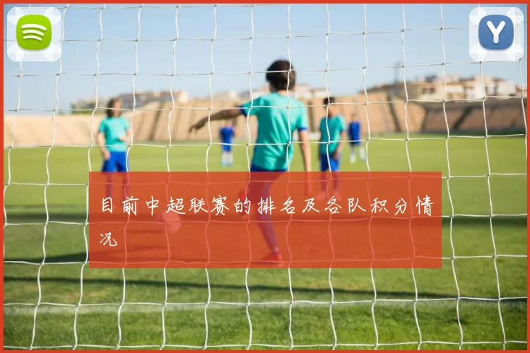 目前中超联赛的排名及各队积分情况