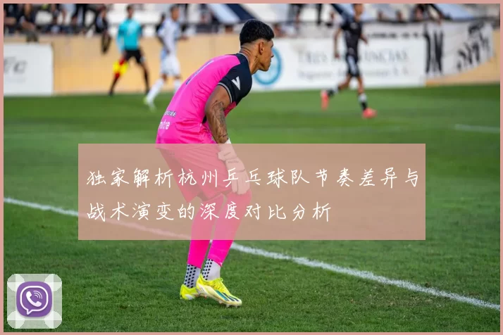 独家解析杭州乒乓球队节奏差异与战术演变的深度对比分析