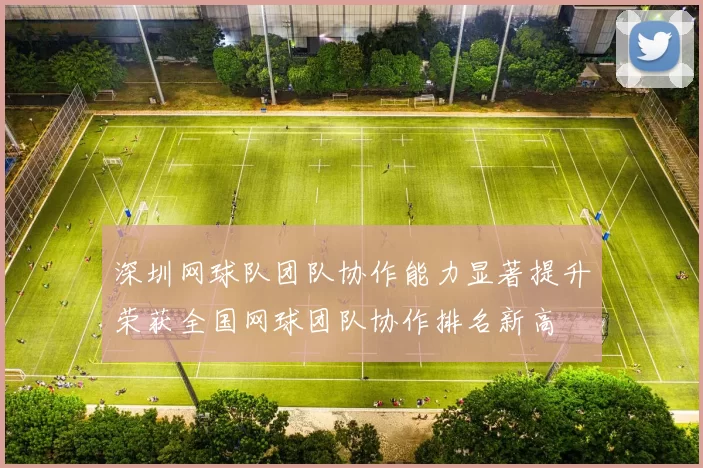 深圳网球队团队协作能力显著提升荣获全国网球团队协作排名新高