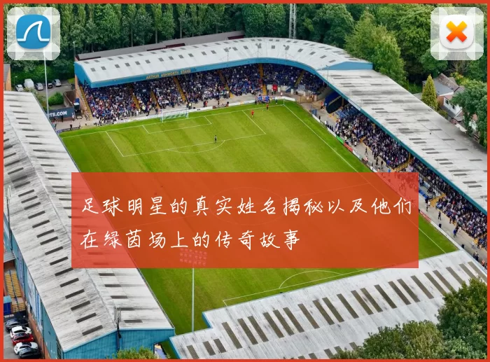 足球明星的真实姓名揭秘以及他们在绿茵场上的传奇故事