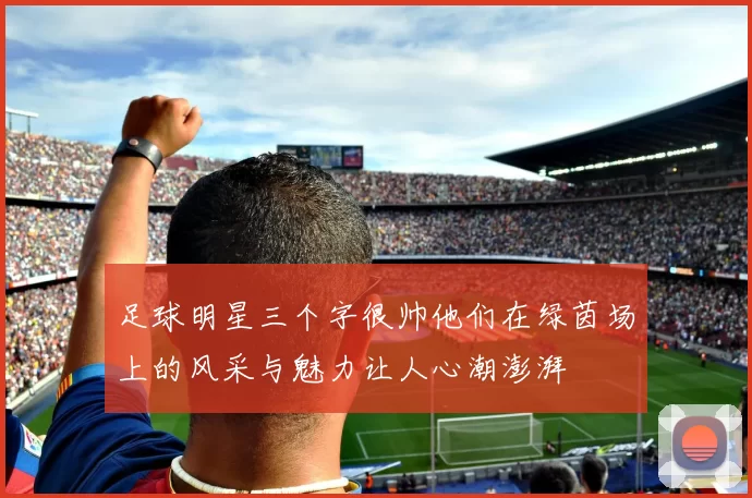足球明星三个字很帅他们在绿茵场上的风采与魅力让人心潮澎湃