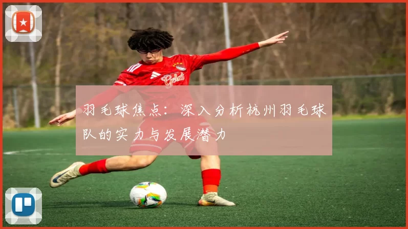 羽毛球焦点：深入分析杭州羽毛球队的实力与发展潜力