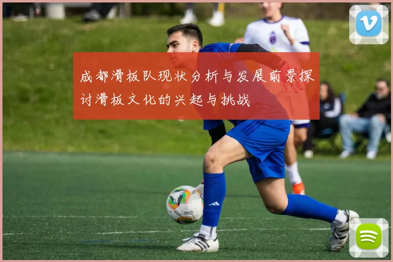 成都滑板队现状分析与发展前景探讨滑板文化的兴起与挑战