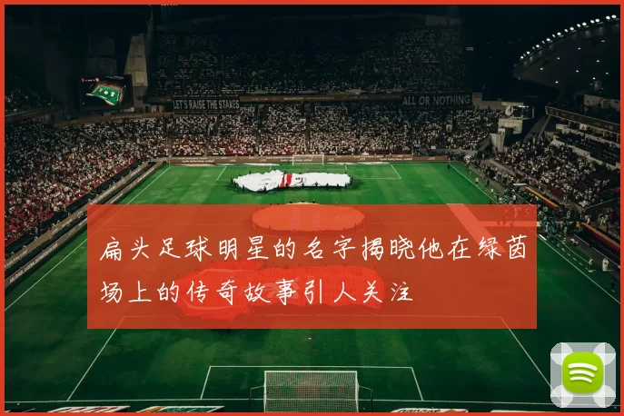 扁头足球明星的名字揭晓他在绿茵场上的传奇故事引人关注