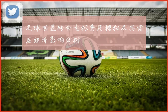 足球明星转会竞标费用揭秘及其背后经济影响分析
