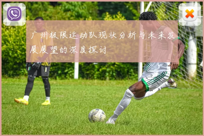 广州极限运动队现状分析与未来发展展望的深度探讨