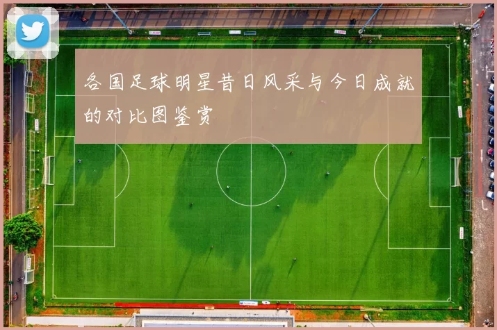 各国足球明星昔日风采与今日成就的对比图鉴赏