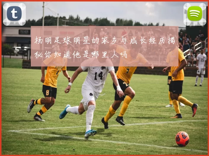 杨明足球明星的家乡与成长经历揭秘你知道他是哪里人吗